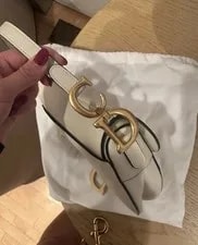 Dior Grained Saddle Mini 4