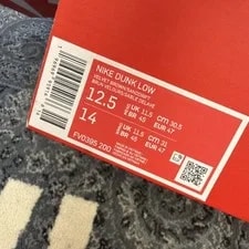 Size 12.5 - Nike Dunk Low 2