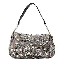 Dior Saddle Sequin 2