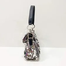 Dior Saddle Sequin 4