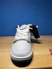 Nike Dunk LOW PRO SB AIR MAX 90 -101 3