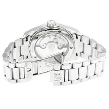 Omega Seamaster Aqua Terra Railmaster 2504.52 36mm SS Black #C11984 3