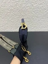 Dior Saddle Crossbody Auth 19cm 4