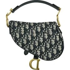 Christian Dior Saddle Mini 3