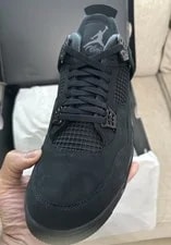 Jordan 4 Cat 2