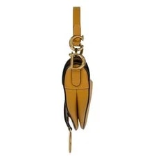 Christian Dior Saddle D Logo 2