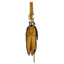 Christian Dior Saddle D Logo 4