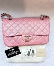 Chanel Flap “Precious Jewel CC” 2