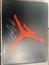 Jordan 4 Haze 2