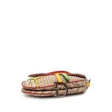 Dior Issimo Rasta Saddle 3