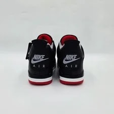 Air Jordan 4 Retro FV5029-006 4