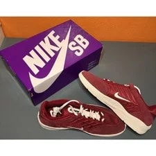 Nike SB Vertebrae TE Team FD4691-600 3