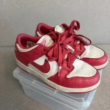 Nike Dunk Low Akio Shoes 210mm Official 4