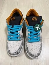 10.5US Nike Sb Dunk Low Pro Safari 3
