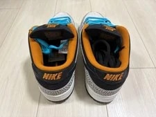 10.5US Nike Sb Dunk Low Pro Safari 4