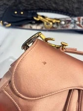Dior Saddle Small Logo 20x15cm 2