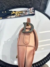 Dior Saddle Small Logo 20x15cm 3