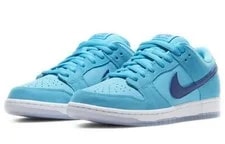 Nike SB Dunk Low Pro Fury BQ6817-400 3