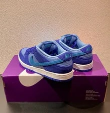Nike SB Dunk Low Pro DM0807-400 No Tariffs in US 2
