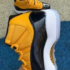 Air Jordan 11 Retro Ie Low 2
