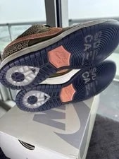 Size 8.5 Nike SB Dunk Low ‘Arts-Rec’ NEW Ships Asap All Laces Included 2