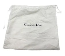 Christian Dior Trotter Saddle W/Dust 2