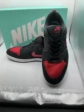 Nike SB Alleyoop ’s Size 11 / Skate Shoes CJ0882-006 4