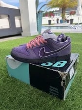 Size 10 - Nike SB Dunk Low X Concepts Lobster 2