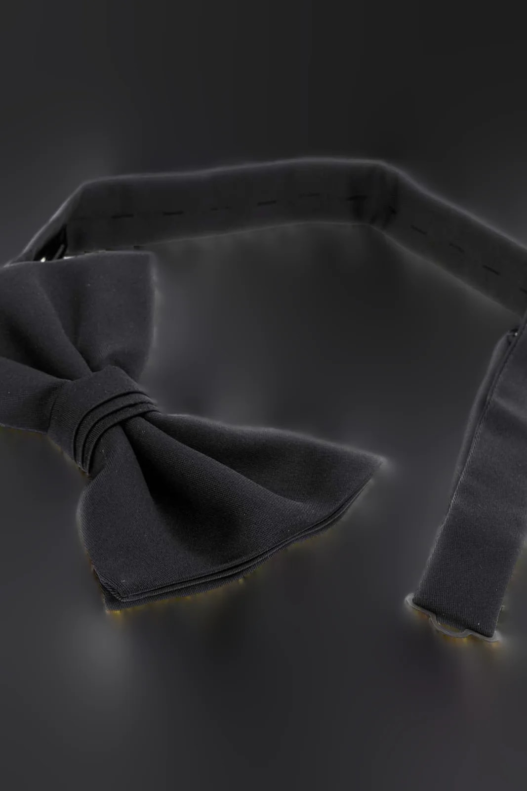 Prada Fiocchi Bow Tie — Exterior: Ties 2