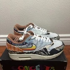 Nike Concepts X Air Max 1 SP Heavy 3