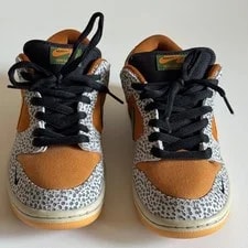 Nike SB Dunk Low Pro Safari CD2563-002 Size 8 Kumquat Desert 3