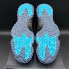 Jordan 11 2025 4