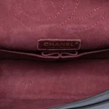 Chanel Reissue 2.55 Medallion Nude Double Flap 225 4