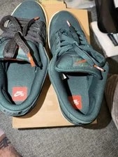 Nike SB Dunk Low Pro Deep Fir Label Size 9M FJ1674-300 3