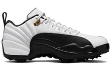 Jordan 12 Retro Low Golf -100 2