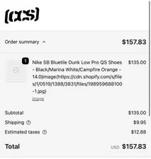 Nike SB Dunk Low Bluetile Skateboards 3