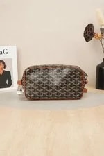 Goyard Camera Small 2