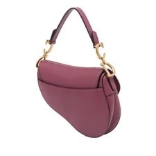 Dior Mini Saddle Dark 2