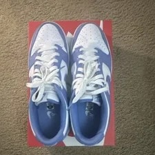 Nike Dunk Low Retro Bttys Polar Low Top DV0833-400 2