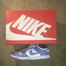 Nike Dunk Low Retro Bttys Polar Low Top DV0833-400 4