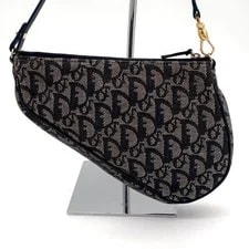Christian Dior Trotter Saddle #HL 2