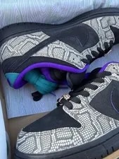 Size 8.5 - Nike SB Dunk Low X Dashawn Jordan “Copperhead” 4
