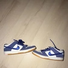 Nike SB Dunk Low Los Angeles Dodgers / Gum Low Top DO9395-400 2