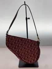 Christian Dior Trotter Pattern Saddle BRD Total 3