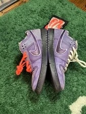 Nike Dunk Low SB Lobster 3