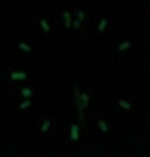 NEW Batt TAG Heuer Professional 2000 WK1310 Quartz 4