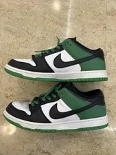 Size 11.5 - Nike Dunk Pro SB Low Classic 2