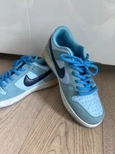 Nike SB Dunk Low Pro Fury BQ6817-400 Skate Sneaker Size 5 No Box 2