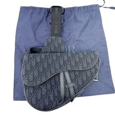 Christian Dior Saddle Crossbody 4