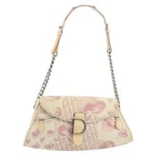Christian Dior Saddle Chain Auth 194136 2